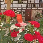 & Cafe Mohrenbrunnen Eisenberg (Thuringia)