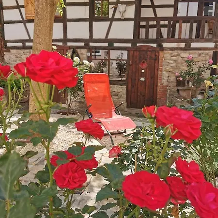 & Cafe Mohrenbrunnen Eisenberg (Thuringia)
