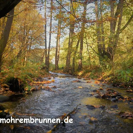 Hotel&café Mohrenbrunnen 4*