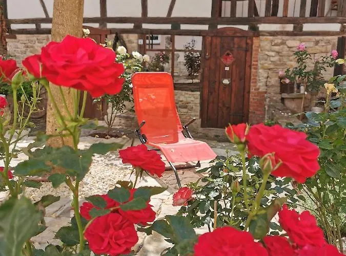 & Cafe Mohrenbrunnen Eisenberg (Thuringia)