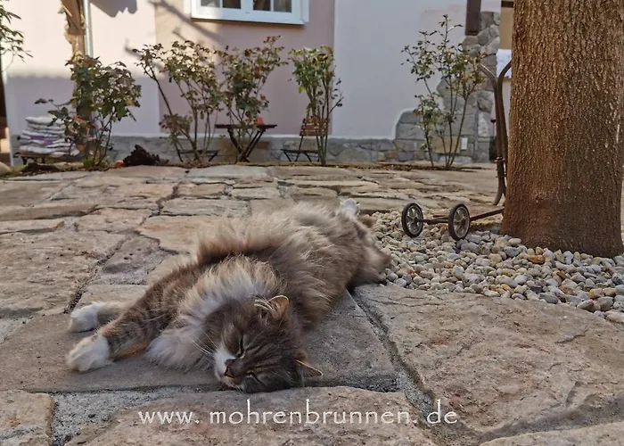 & Cafe Mohrenbrunnen 4*